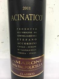 Image result for Stefano Accordini Amarone della Valpolicella Classico Lo Trago