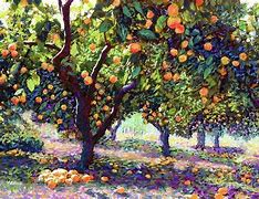 Image result for Orange Tree Artistic