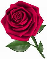 Image result for Dome Rose Clip Art