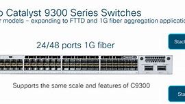 Image result for Cat 9300