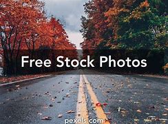 Image result for Copyright Free Images to Use