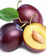 Image result for Chinese Plum Fruit