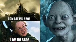 Image result for Politically Incorrect Lord of the Rings Memes