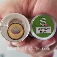 Image result for Brown Contact Lens