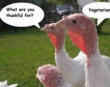 Image result for Funny Thanksgiving Memes Kids