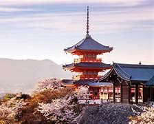 Image result for Trees Kyoto Japan