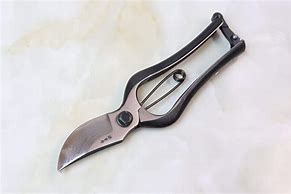 Image result for Japanese Pruning Knife