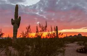 Image result for Arizona Nature