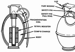 Image result for M67 Grenade Anatomy