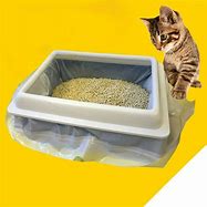 Image result for cats litters