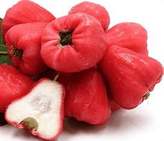 Image result for Rose Apple Fruit