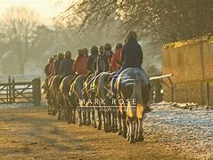 Image result for Horse Racing 1800 Newmarket