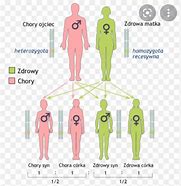 Image result for co_to_znaczy_zespół_serotoninowy