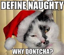 Image result for Secret Santa Meme Cat