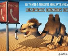 Image result for Hump Day at Work Meme