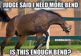 Image result for Derp Horse Meme