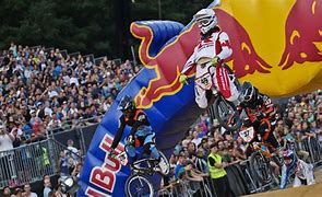 Image result for Red Bull BMX Racing
