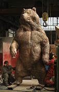 Image result for Biggest Animal in the World Scale