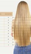 Image result for 20 Inch Hair 5Ft 6In