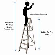 Image result for 10 Step Platform Ladder Height