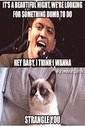 Image result for Grumpy Cat Memes Twinkle