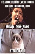 Image result for Cat Humor Funny Meme
