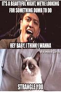 Image result for Grumpy Cat Christmas Funny