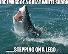 Image result for Shark Stepping On LEGO Meme