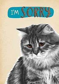 Image result for I'm Sorry Gifts for Cats