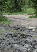Image result for Mud Hole