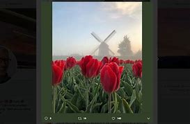 Image result for Tim Cook Photography