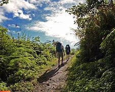 Image result for Belize Hiking