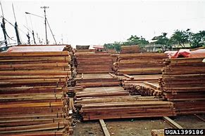 Image result for 2X10x8 Lumber