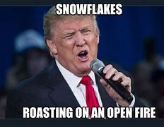 Image result for Melting Snowflake Meme