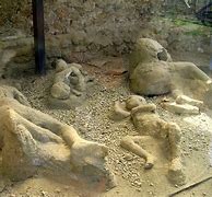 Image result for Pompeii Bodies Today