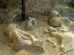 Image result for Pompeii Mummified Bodies