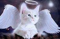Image result for Christmas Angel with Cat Art