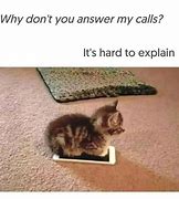 Image result for Cell Phone Cat Meme