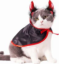 Image result for Bureau Cat Costume