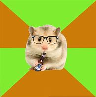 Image result for No Hipsters Sign Meme Hamster