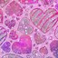Image result for Zedge Valentine Cell Wallpaper