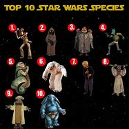 Image result for Star Wars Animal Memes