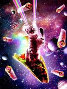 Image result for Taco Cats in Space