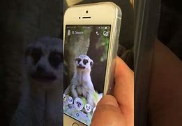 Image result for Snapchat On iPhone 5S
