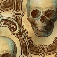 Image result for Victorian Skull Art