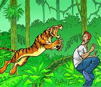 Image result for Graphic Tiger Attack