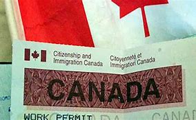 Image result for What Are Fields On Work Visa Canada