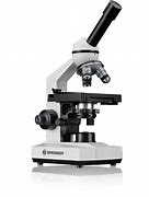 Image result for 400X Microscope