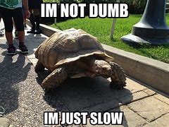 Image result for Meme Where Everyone Slow Drops