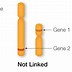 Image result for Importance of Genetic Linkage